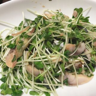 シメサバの香味野菜和え